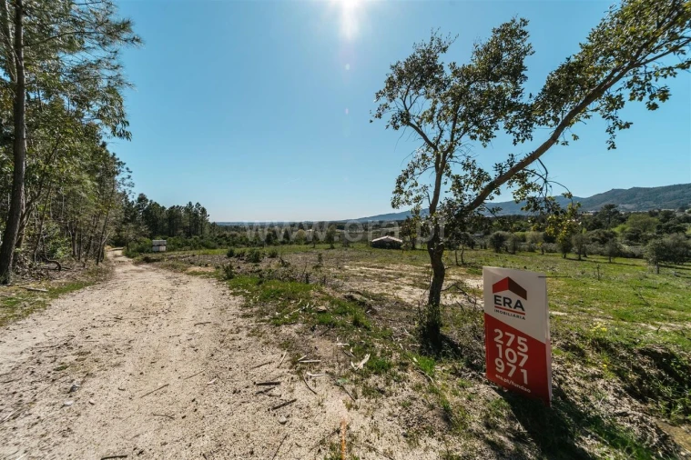 Quinta T1 para Venda em Vale de Prazeres e Mata da Rainha Foto 6