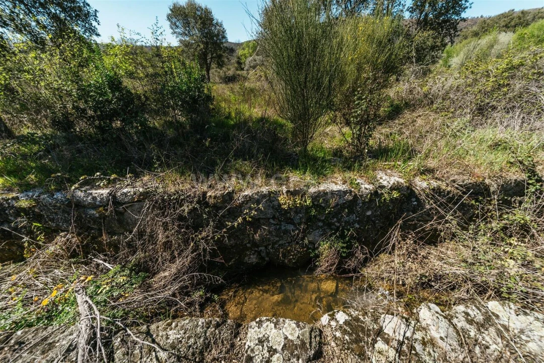 Quinta T1 para Venda em Vale de Prazeres e Mata da Rainha Foto 10