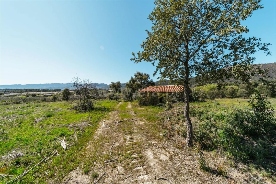 Quinta T1 para Venda em Vale de Prazeres e Mata da Rainha Foto 4