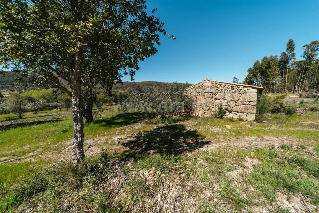 Quinta T1 para Venda em Vale de Prazeres e Mata da Rainha Foto 7