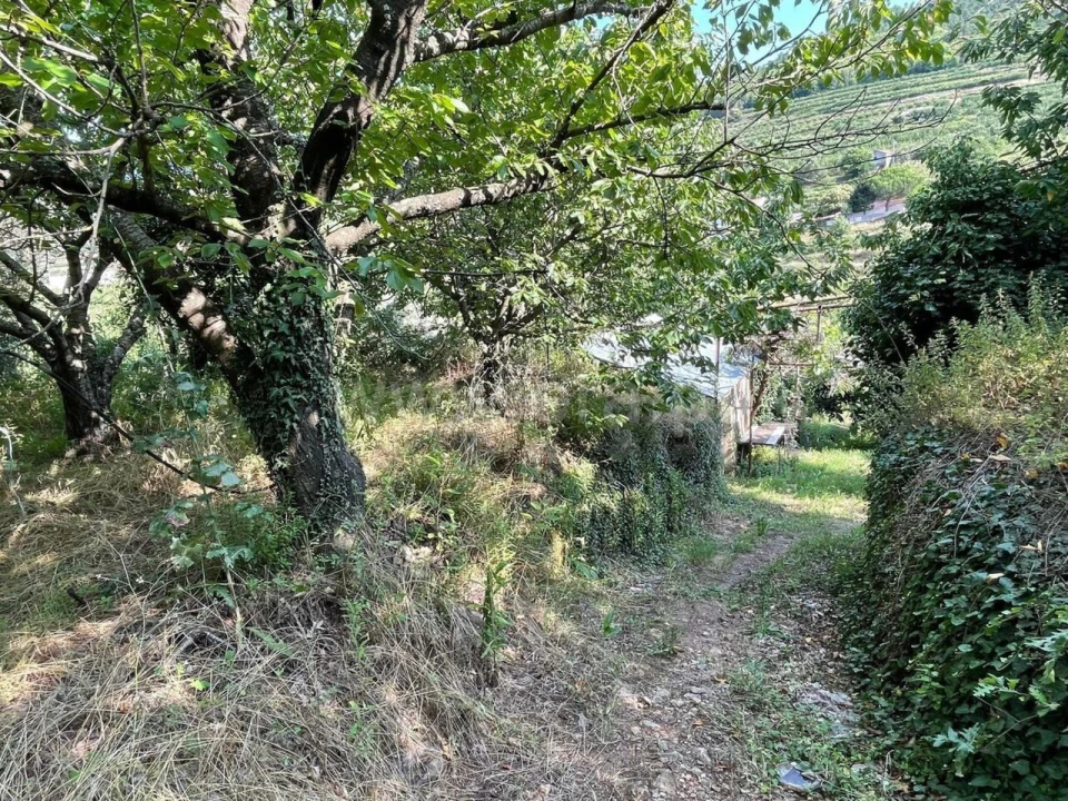 Quinta T0 para Venda em Fundão, Valverde, Donas, A. Joanes, A. Nova Cabo Foto 2