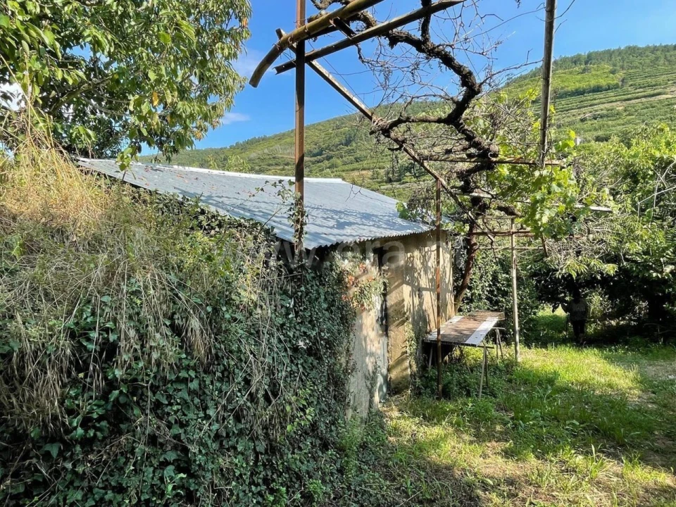 Quinta T0 para Venda em Fundão, Valverde, Donas, A. Joanes, A. Nova Cabo Foto 5