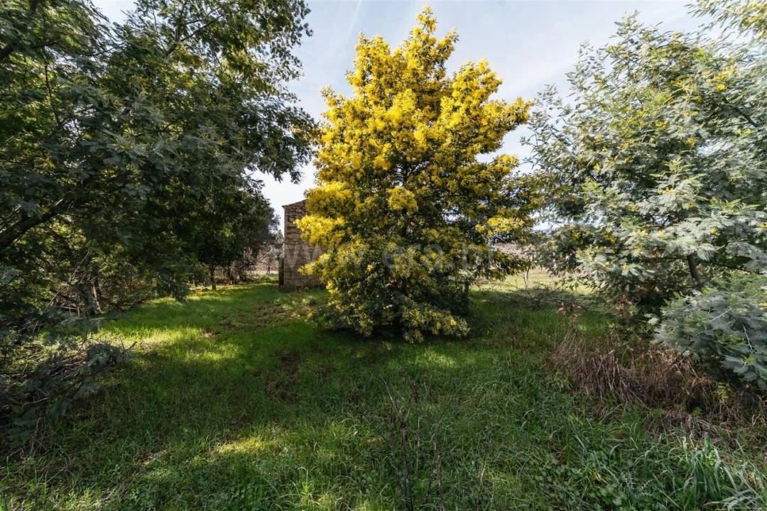 Quinta T0 para Venda em Póvoa de Atalaia e Atalaia do Campo Foto 20
