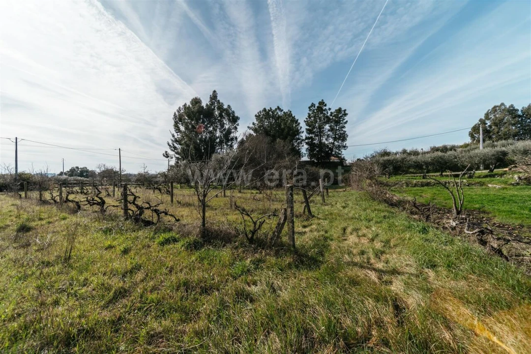 Quinta T0 para Venda em Póvoa de Atalaia e Atalaia do Campo Foto 14