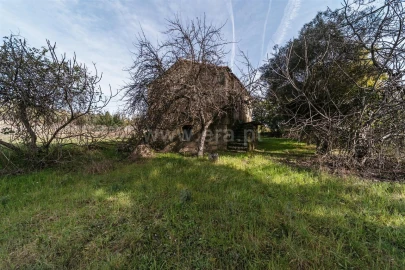 Quinta T0 para Venda em Póvoa de Atalaia e Atalaia do Campo