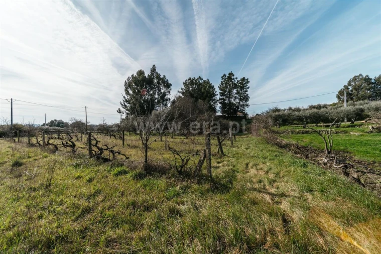 Quinta T0 para Venda em Póvoa de Atalaia e Atalaia do Campo Foto 14