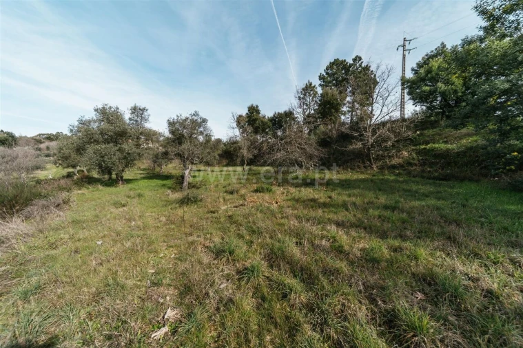 Quinta T0 para Venda em Póvoa de Atalaia e Atalaia do Campo Foto 16