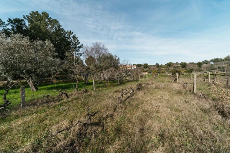 Quinta T0 para Venda em Póvoa de Atalaia e Atalaia do Campo Foto 13