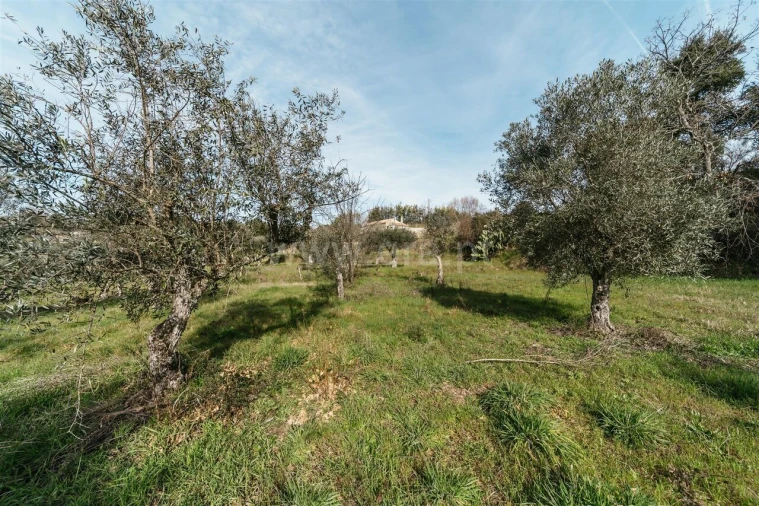 Quinta T0 para Venda em Póvoa de Atalaia e Atalaia do Campo Foto 17