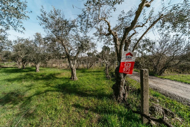 Quinta T0 para Venda em Póvoa de Atalaia e Atalaia do Campo Foto 12