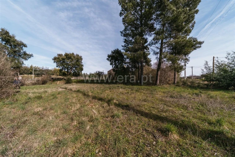 Quinta T0 para Venda em Póvoa de Atalaia e Atalaia do Campo Foto 15