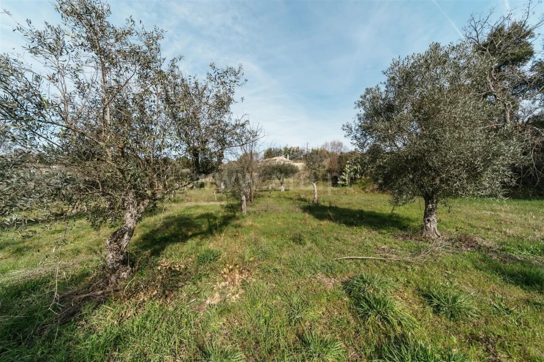 Quinta T0 para Venda em Póvoa de Atalaia e Atalaia do Campo Foto 17