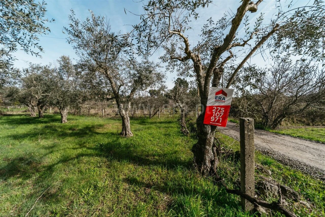 Quinta T0 para Venda em Póvoa de Atalaia e Atalaia do Campo Foto 12