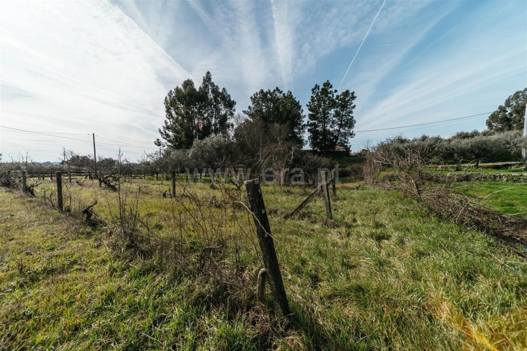 Quinta T0 para Venda em Póvoa de Atalaia e Atalaia do Campo Foto 15