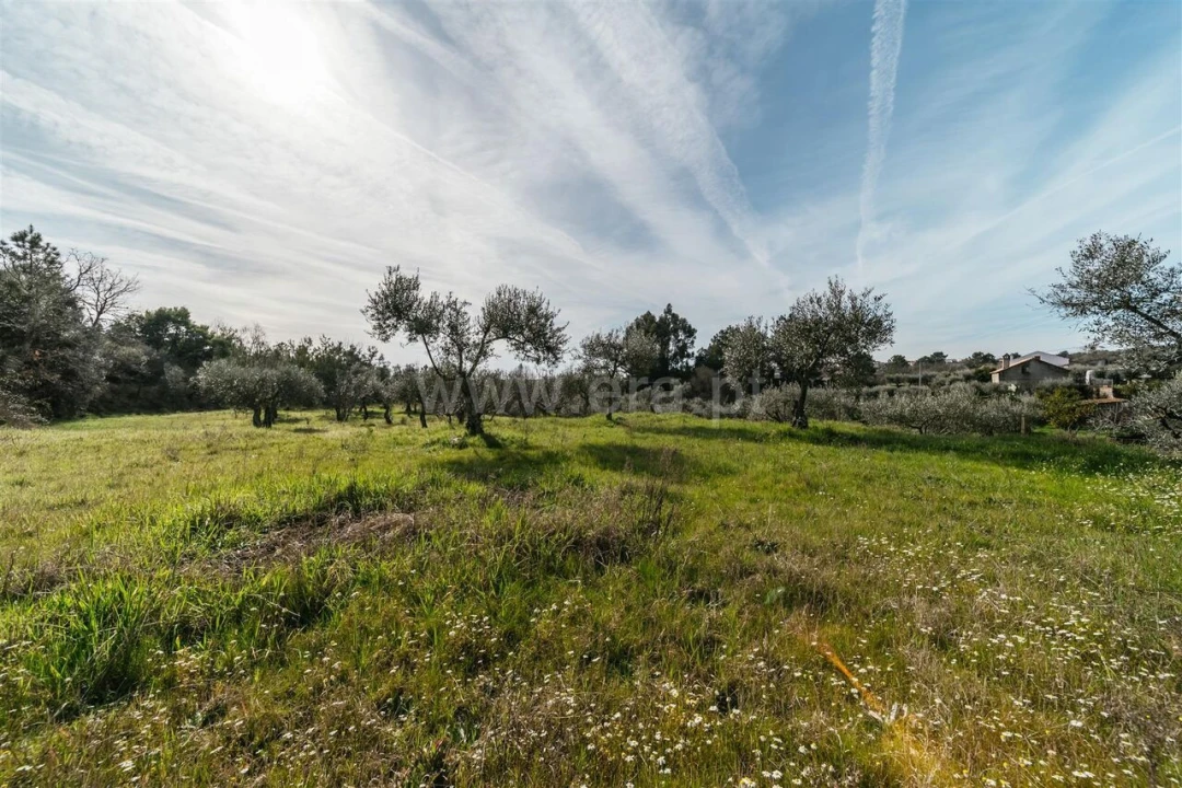 Quinta T0 para Venda em Póvoa de Atalaia e Atalaia do Campo Foto 18