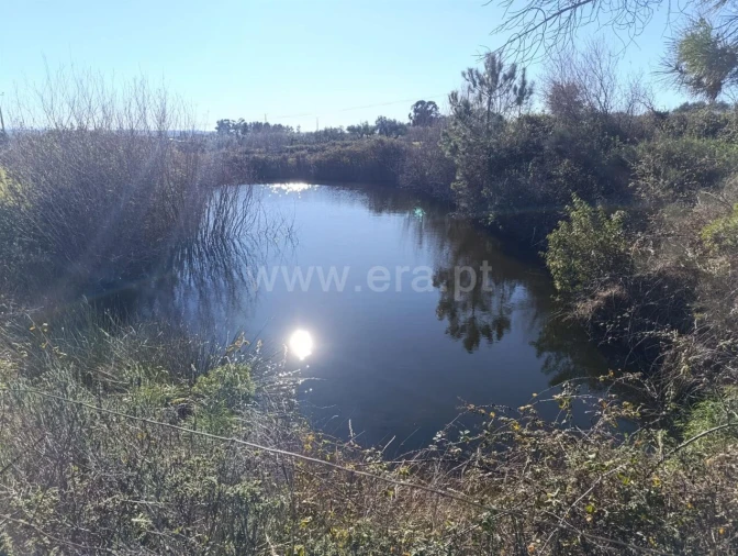 Terreno para Venda em Vale de Prazeres e Mata da Rainha Foto 10