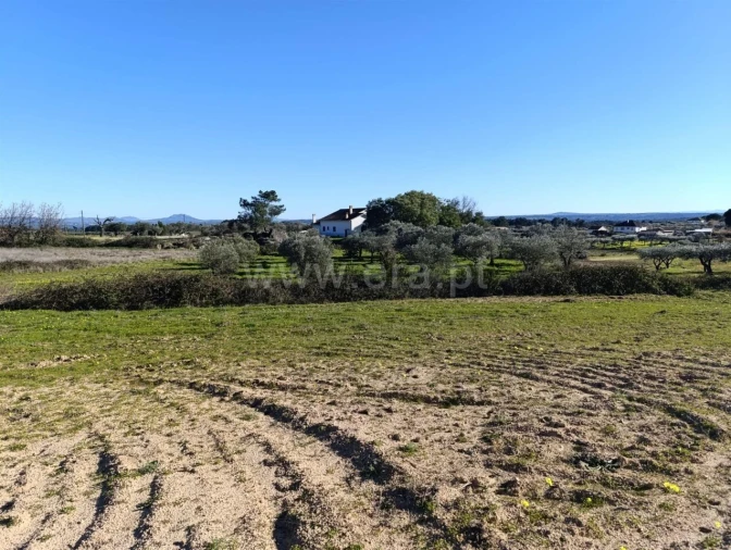Terreno para Venda em Vale de Prazeres e Mata da Rainha Foto 6