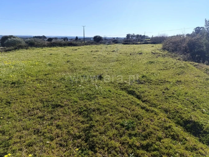 Terreno para Venda em Vale de Prazeres e Mata da Rainha Foto 11