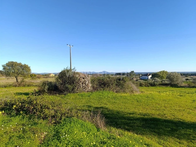 Terreno para Venda em Vale de Prazeres e Mata da Rainha Foto 4