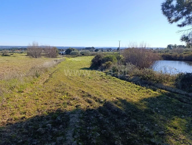 Terreno para Venda em Vale de Prazeres e Mata da Rainha Foto 12