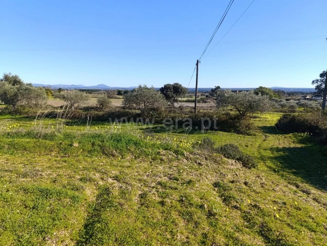 Terreno para Venda em Vale de Prazeres e Mata da Rainha Foto 8