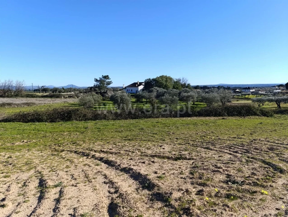 Terreno para Venda em Vale de Prazeres e Mata da Rainha Foto 6