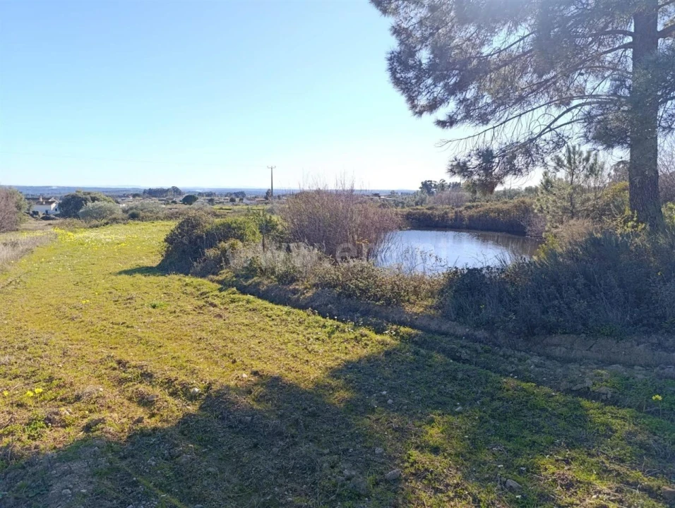 Terreno para Venda em Vale de Prazeres e Mata da Rainha Foto 13