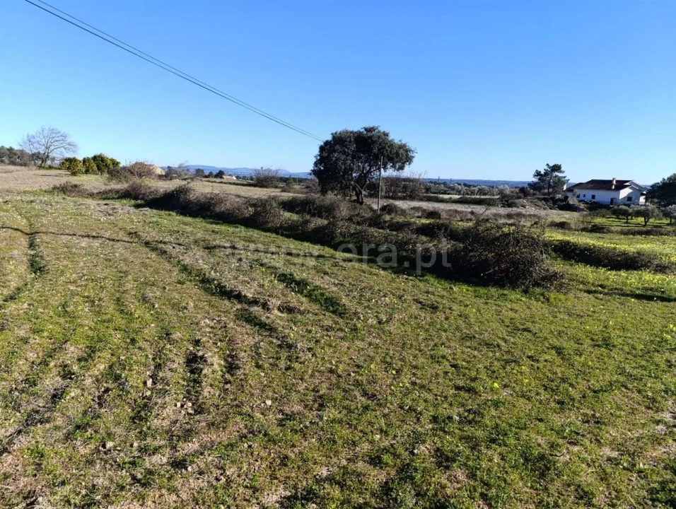Terreno para Venda em Vale de Prazeres e Mata da Rainha Foto 7