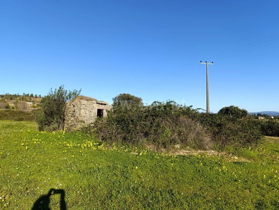 Terreno para Venda em Vale de Prazeres e Mata da Rainha Foto 3