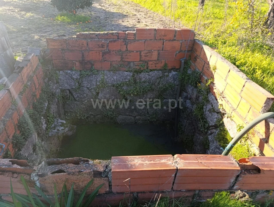 Terreno para Venda em Vale de Prazeres e Mata da Rainha Foto 5