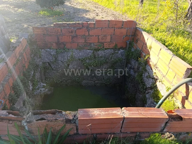 Terreno para Venda em Vale de Prazeres e Mata da Rainha Foto 5