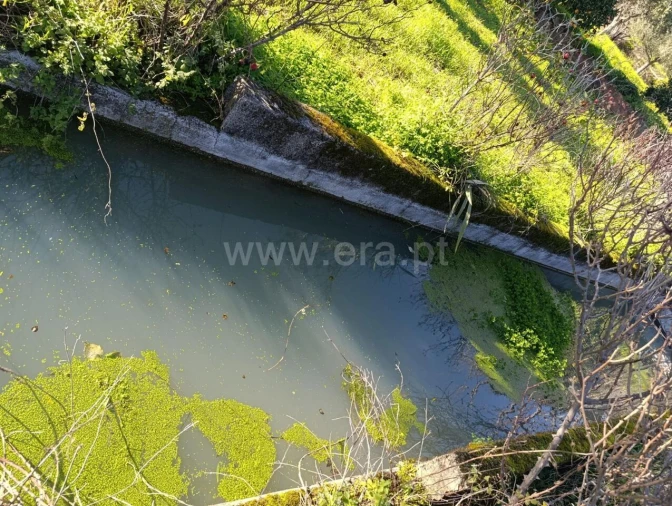 Terreno para Venda em Vale de Prazeres e Mata da Rainha Foto 6