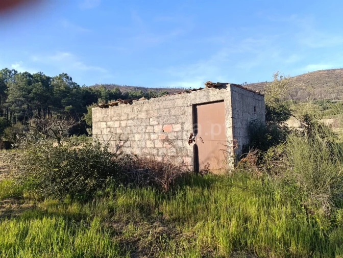 Terreno para Venda em Vale de Prazeres e Mata da Rainha Foto 10