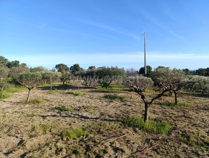 Terreno para Venda em Vale de Prazeres e Mata da Rainha Foto 9