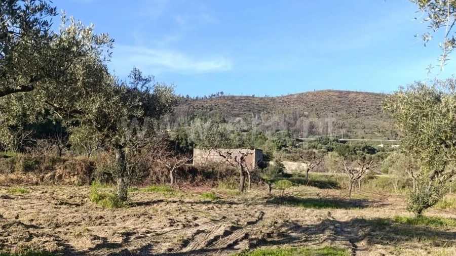 Terreno para Venda em Vale de Prazeres e Mata da Rainha