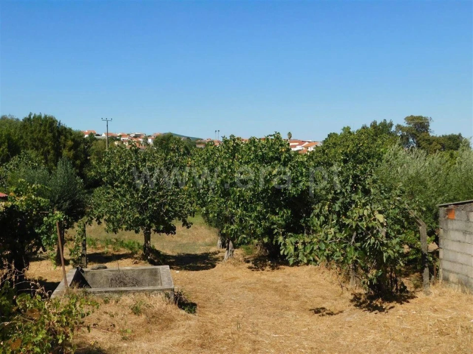 Quinta T1 para Venda em Póvoa de Atalaia e Atalaia do Campo Foto 3