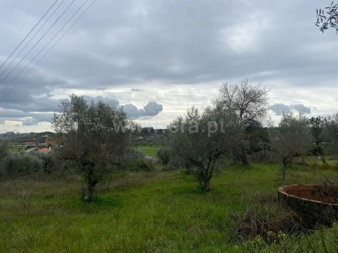 Quinta T1 para Venda em Póvoa de Atalaia e Atalaia do Campo Foto 8