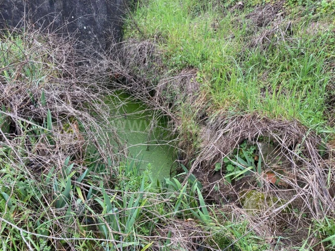 Quinta T1 para Venda em Póvoa de Atalaia e Atalaia do Campo Foto 9