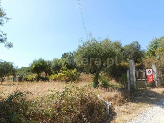 Quinta T1 para Venda em Póvoa de Atalaia e Atalaia do Campo Foto 10