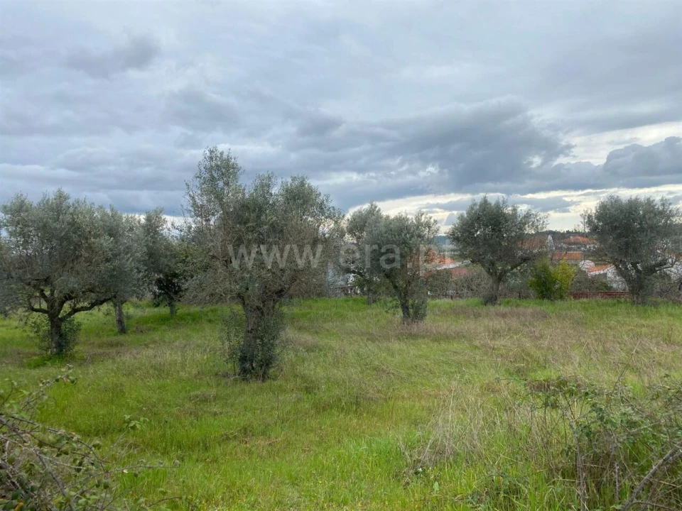 Quinta T1 para Venda em Póvoa de Atalaia e Atalaia do Campo Foto 5
