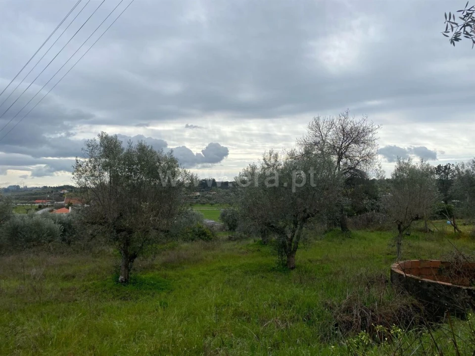 Quinta T1 para Venda em Póvoa de Atalaia e Atalaia do Campo Foto 8
