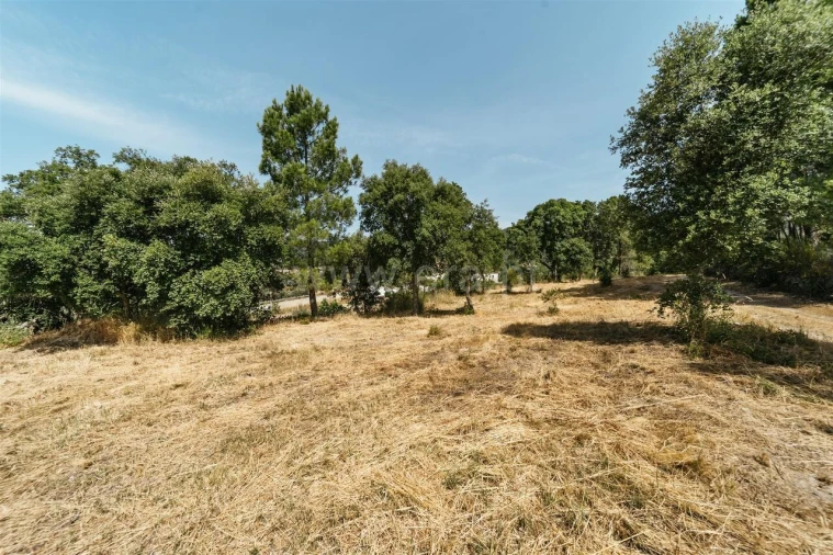 Terreno para Venda em Vale de Prazeres e Mata da Rainha Foto 4
