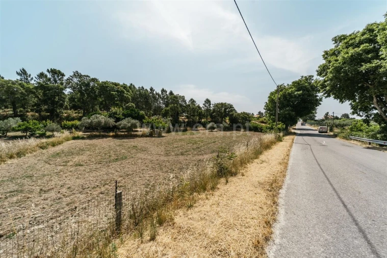 Terreno para Venda em Vale de Prazeres e Mata da Rainha Foto 16