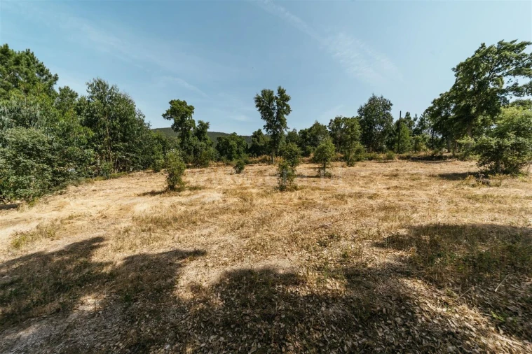 Terreno para Venda em Vale de Prazeres e Mata da Rainha Foto 6