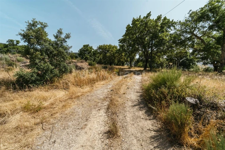 Terreno para Venda em Vale de Prazeres e Mata da Rainha Foto 12