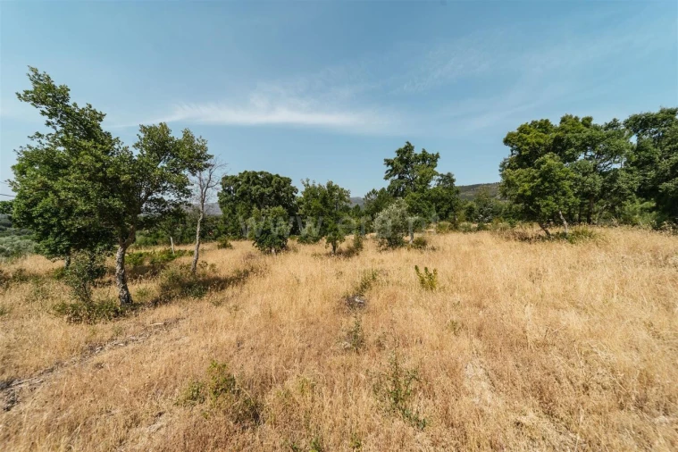 Terreno para Venda em Vale de Prazeres e Mata da Rainha Foto 10