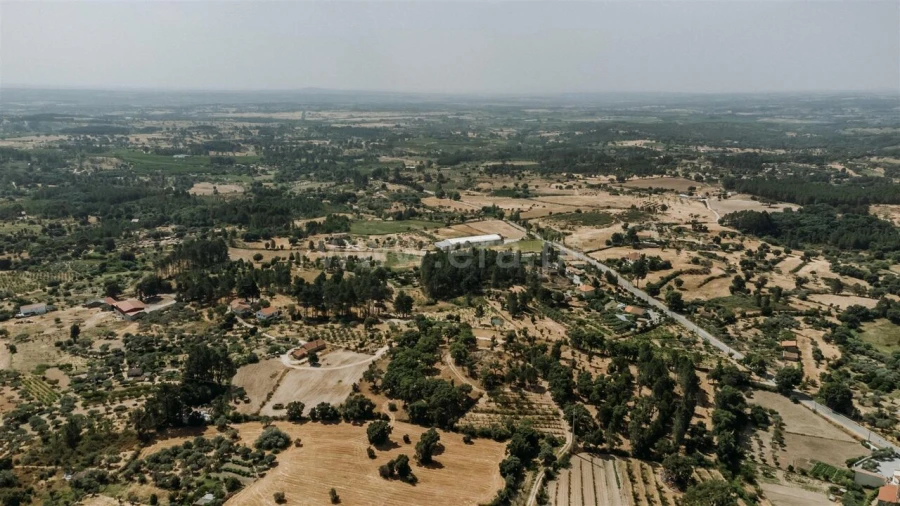 Terreno para Venda em Vale de Prazeres e Mata da Rainha Foto 19