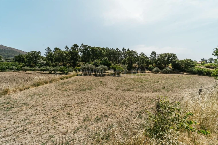Terreno para Venda em Vale de Prazeres e Mata da Rainha Foto 17