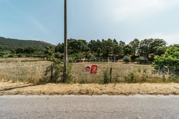 Terreno para Venda em Vale de Prazeres e Mata da Rainha Foto 15
