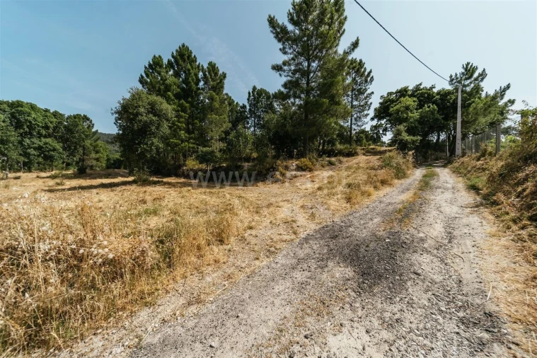 Terreno para Venda em Vale de Prazeres e Mata da Rainha Foto 3